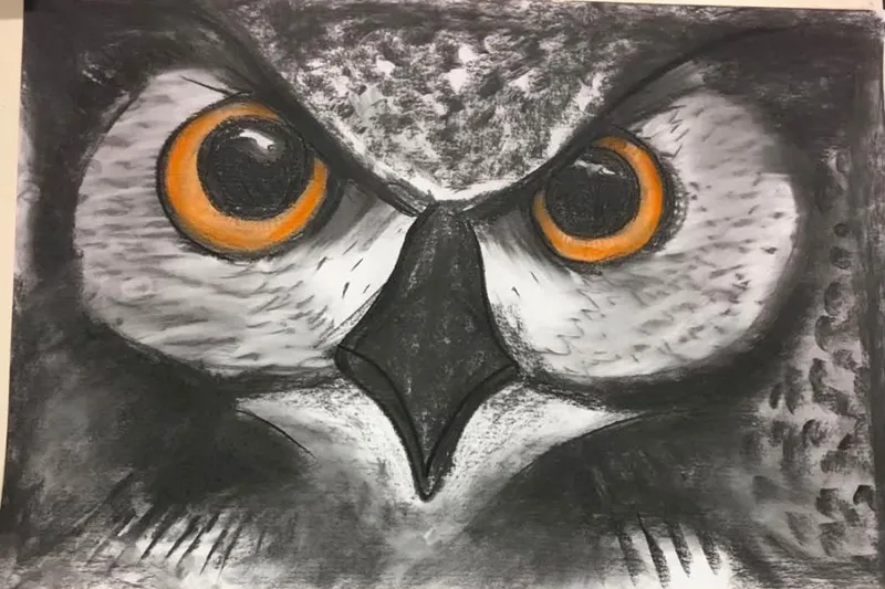 Charcoal Drawing Class: Owl