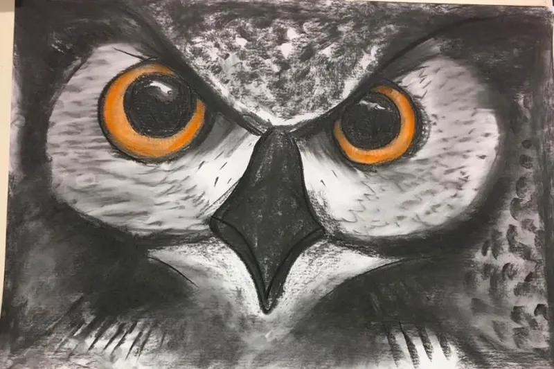 Charcoal Drawing Class: Owl